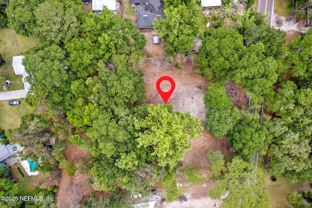 2633 Amelia Rd, Fernandina Beach, FL 32034 - photo 3