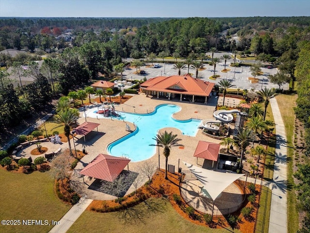 1714 Chatham Village Dr, Fleming Island, FL 32003 - community pool with a wooded view
