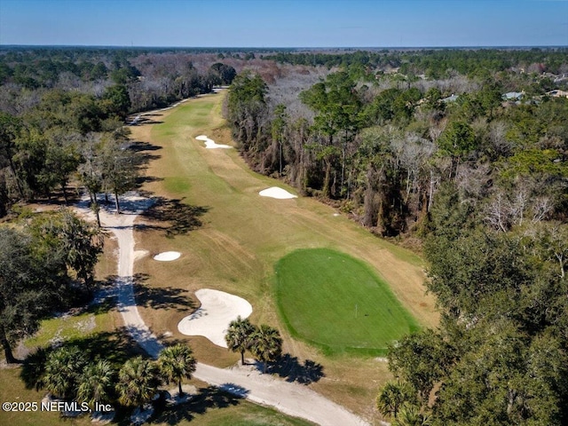 1714 Chatham Village Dr, Fleming Island, FL 32003 - view of property location featuring a golf course