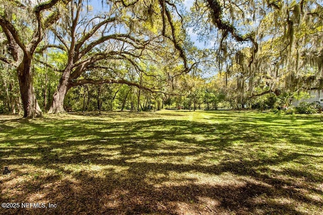 0 Amelia Rd, Fernandina Beach, FL 32034