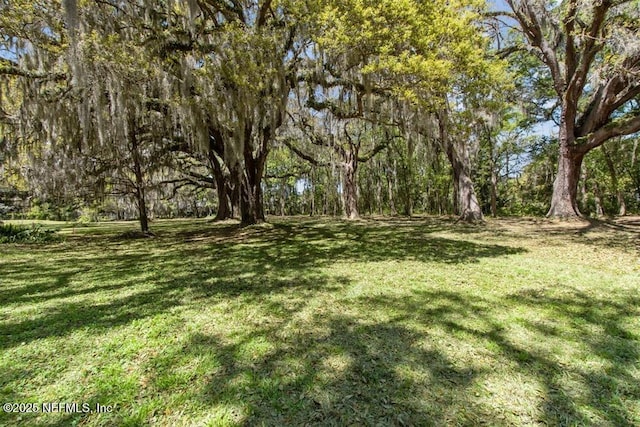 0 Amelia Rd, Fernandina Beach, FL 32034