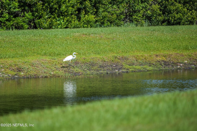 272 Hammocks Landing Dr, Ponte Vedra, FL 32081 - photo 24