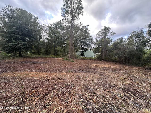 323 Carteret Rd, Georgetown, FL 32139 - photo 1