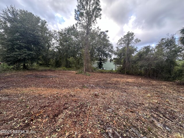 323 Carteret Rd, Georgetown, FL 32139 - photo 2