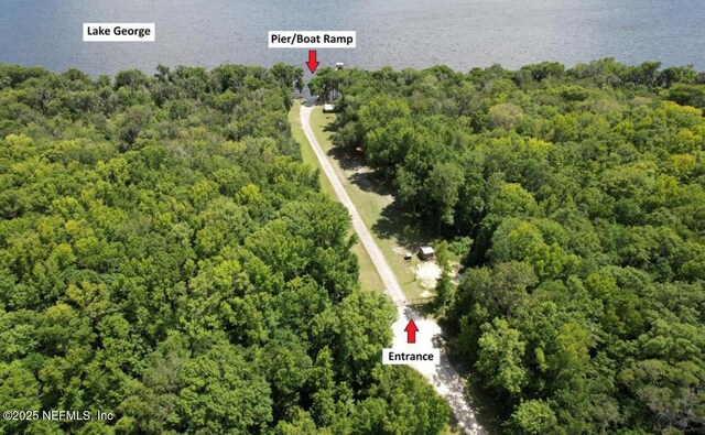 323 Carteret Rd, Georgetown, FL 32139 - photo 7
