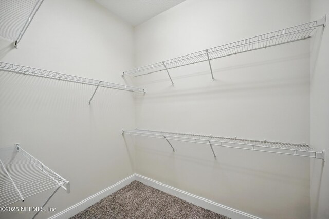 4300 S Beach Pkwy Unit 3214, Jacksonville Beach, FL 32250 - spacious closet featuring carpet flooring