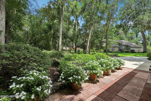 3793 Waterside Dr, Orange Park, FL 32073 - photo 37