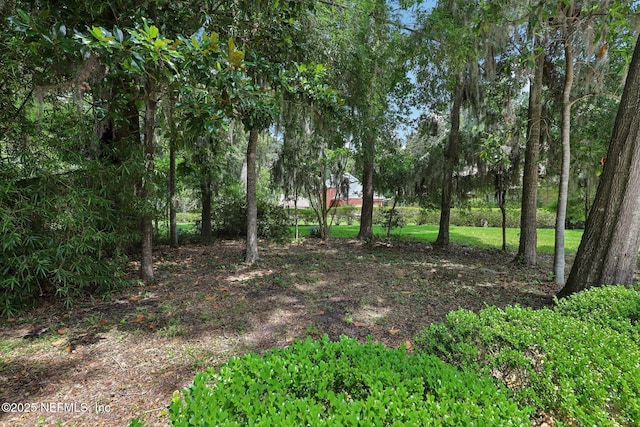 3793 Waterside Dr, Orange Park, FL 32073 - photo 38