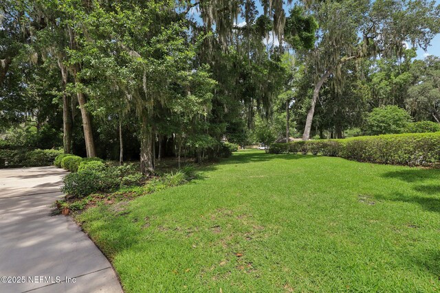 3793 Waterside Dr, Orange Park, FL 32073 - photo 40