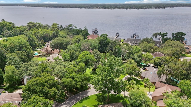 3793 Waterside Dr, Orange Park, FL 32073 - photo 3
