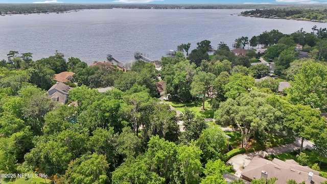 3793 Waterside Dr, Orange Park, FL 32073 - photo 50