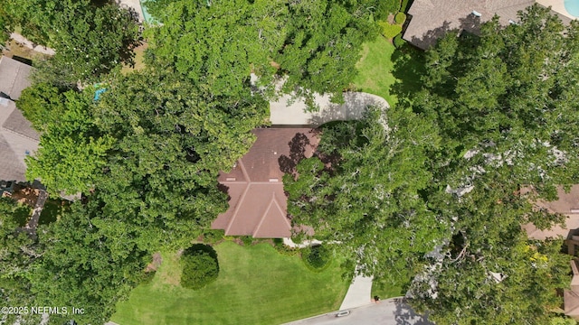 3793 Waterside Dr, Orange Park, FL 32073 - photo 49