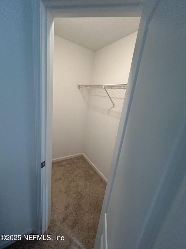 403 Talulla Trl, Saint Augustine, FL 32095