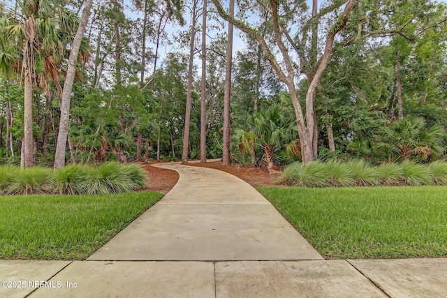 101 Bucktail Ave, Ponte Vedra, FL 32081 - view of community with a lawn