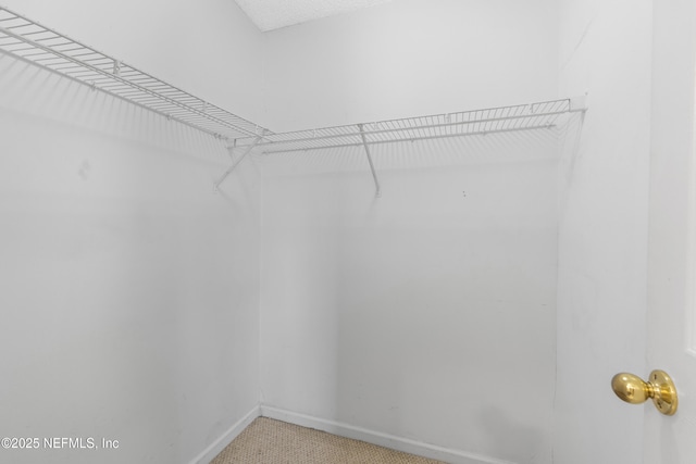13042 Staffordshire Dr S, Jacksonville, FL 32225 - photo 21