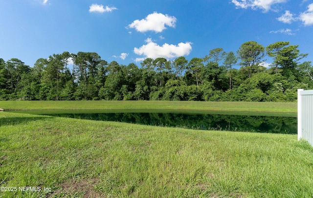4171 Fishing Creek Ln, Middleburg, FL 32068 - view of yard featuring a water view