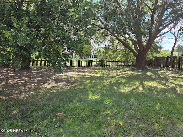424 Bay Point Way N, Saint Johns, FL 32259 - view of yard