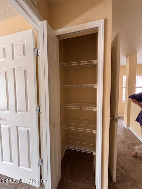 8561 Little Swift Cir Unit 32D, Jacksonville, FL 32256 - view of closet