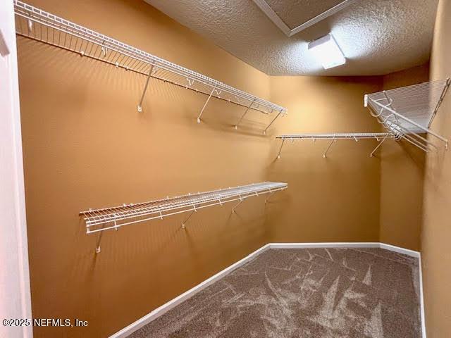 8561 Little Swift Cir Unit 32D, Jacksonville, FL 32256 - spacious closet featuring carpet