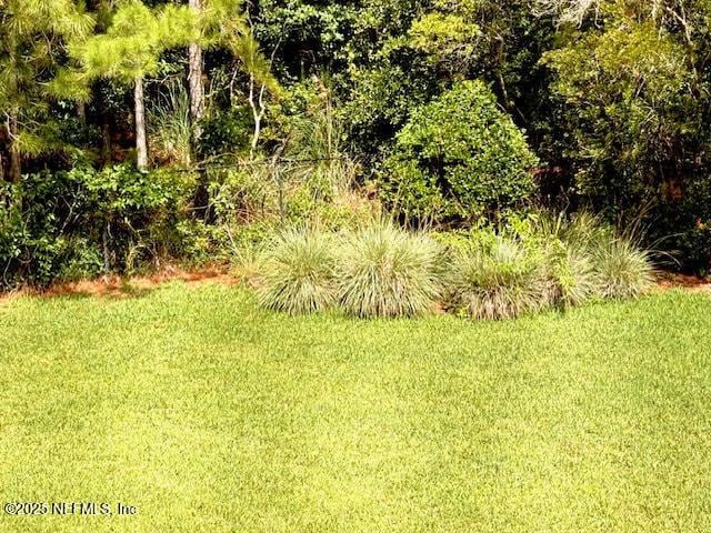 8561 Little Swift Cir Unit 32D, Jacksonville, FL 32256 - view of green lawn
