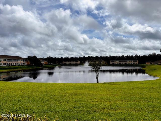 8561 Little Swift Cir Unit 32D, Jacksonville, FL 32256 - water view