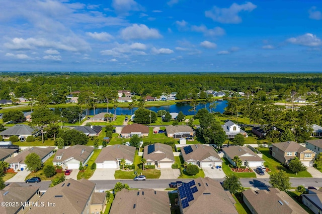 15796 Pinyon Ln, Jacksonville, FL 32218 - photo 4