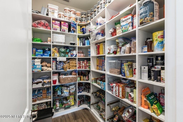 105 Awlleaf Ct, Saint Augustine, FL 32095 - view of pantry