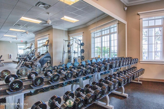 105 Awlleaf Ct, Saint Augustine, FL 32095 - exercise room with crown molding and a paneled ceiling
