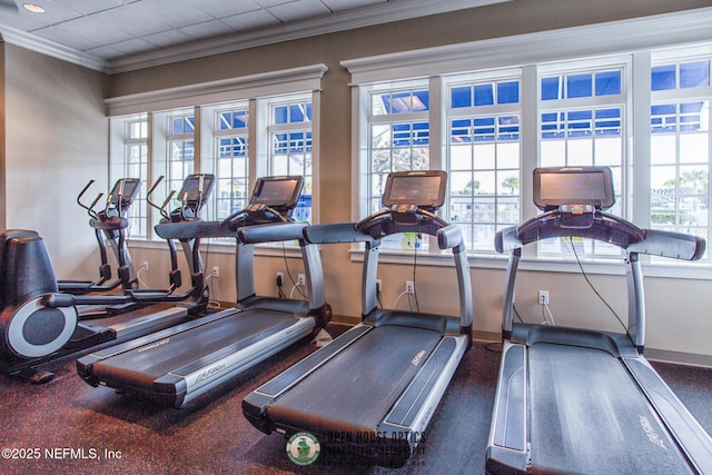 105 Awlleaf Ct, Saint Augustine, FL 32095 - workout area with plenty of natural light and ornamental molding