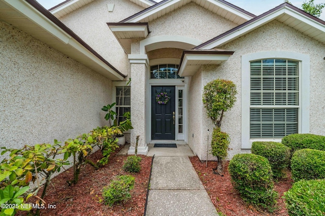 1608 Rustling Dr, Fleming Island, FL 32003 - entrance to property featuring stucco siding