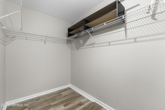 1608 Rustling Dr, Fleming Island, FL 32003 - walk in closet with wood finished floors