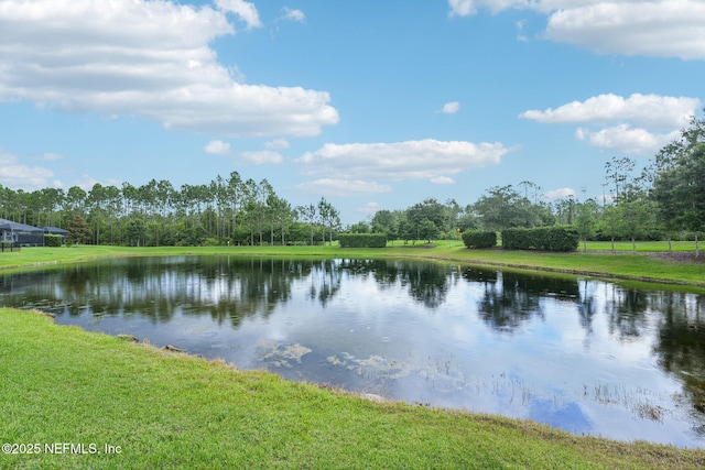 68 Briar Ridge Ct, Ponte Vedra, FL 32081 - water view