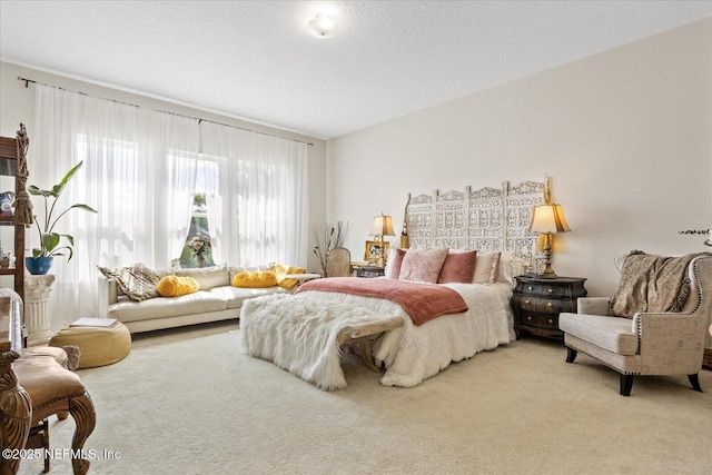 37 Permit Ct, Saint Augustine, FL 32092 - bedroom with light colored carpet