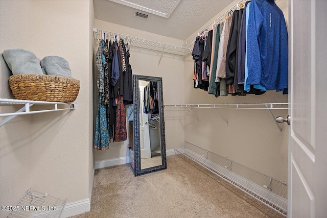 795 Shetland Dr, Saint Johns, FL 32259 - spacious closet with carpet floors