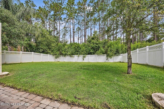 795 Shetland Dr, Saint Johns, FL 32259 - view of fenced backyard