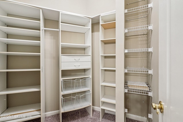 8601 Beach Blvd Unit 507, Jacksonville, FL 32216 - spacious closet featuring carpet flooring