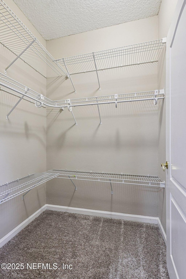 8601 Beach Blvd Unit 507, Jacksonville, FL 32216 - spacious closet with carpet flooring
