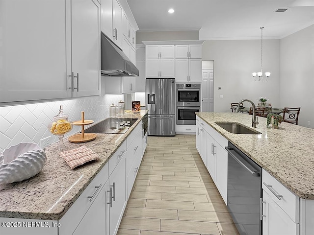95191 Poplar Way, Fernandina Beach, FL 32034 - kitchen featuring a sink, stainless steel appliances, under cabinet range hood, ornamental molding, and backsplash