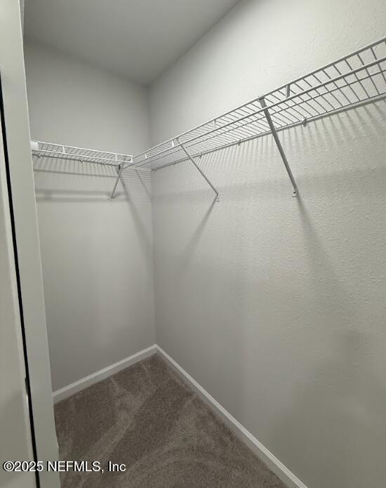 8051 Driggers St, Jacksonville, FL 32220 - walk in closet with carpet