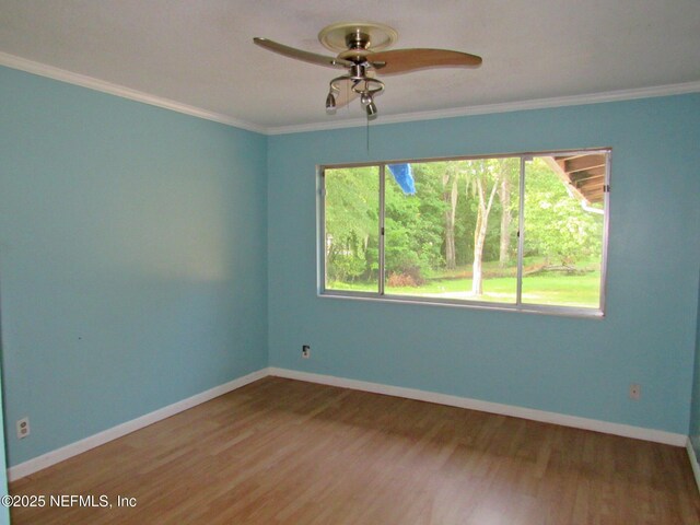 7134 Electra Dr S, Jacksonville, FL 32210 - photo 16