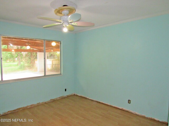 7134 Electra Dr S, Jacksonville, FL 32210 - photo 17