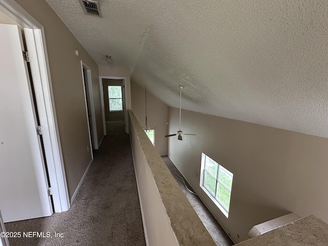 10986 Traci Lynn Dr, Jacksonville, FL 32218 - photo 15