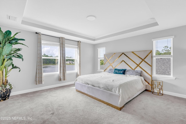 194 Napo Way, Saint Johns, FL 32259 - bedroom featuring a raised ceiling and multiple windows