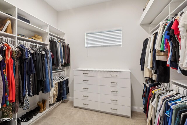1332 N Loop Pkwy, Saint Augustine, FL 32095 - spacious closet featuring light colored carpet