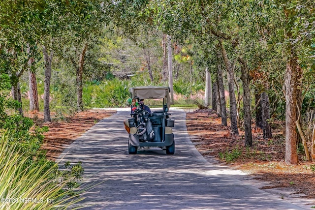 1332 N Loop Pkwy, Saint Augustine, FL 32095 - surrounding community with driveway