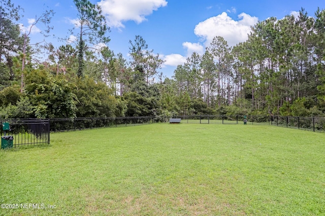 1332 N Loop Pkwy, Saint Augustine, FL 32095 - view of yard