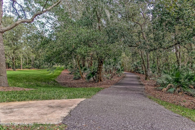 1332 N Loop Pkwy, Saint Augustine, FL 32095 - surrounding community with a lawn