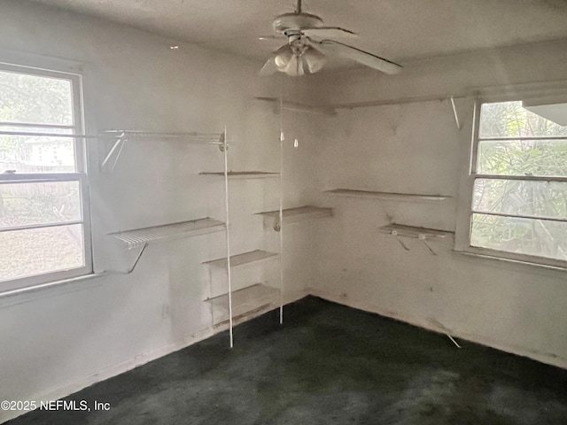 3526 Poinsetta St, Jacksonville, FL 32254 - walk in closet featuring a ceiling fan
