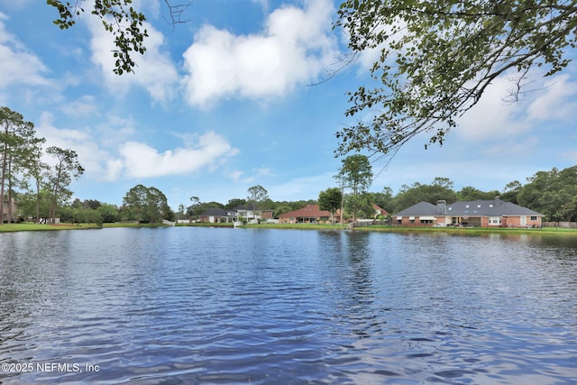 8227 Mar Del Plata St E, Jacksonville, FL 32256 - photo 61