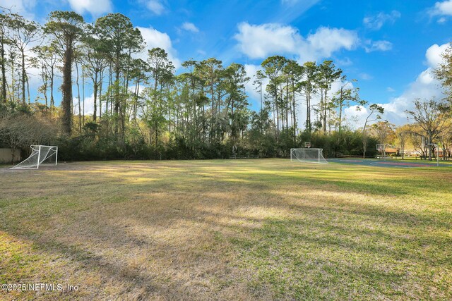 8227 Mar Del Plata St E, Jacksonville, FL 32256 - photo 103